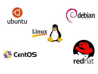 Distro Linux是什么？探索这个Linux发行版的独特之处！  第1张