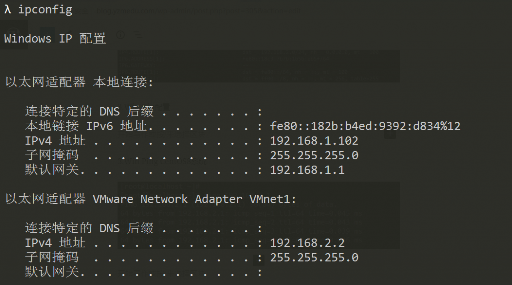 为什么无法成功ping通远程服务器？