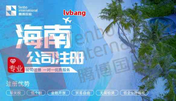 海南地区如何快速查询优质域名注册公司服务？