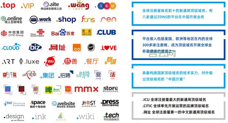为何选择国内知名公司而非国际品牌进行域名注册和虚拟主机服务？