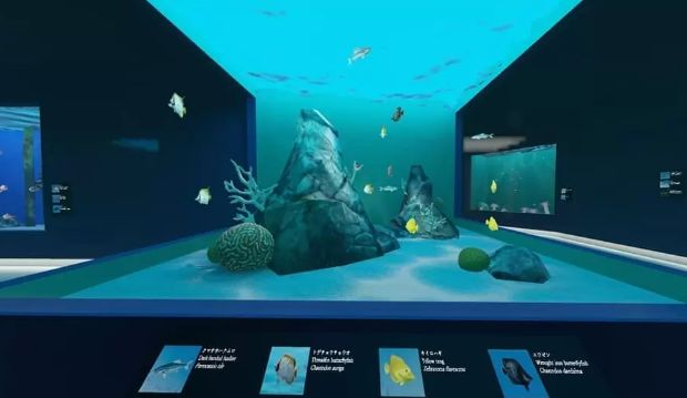 3D鱼的源码，如何打造逼真的虚拟水族馆体验？