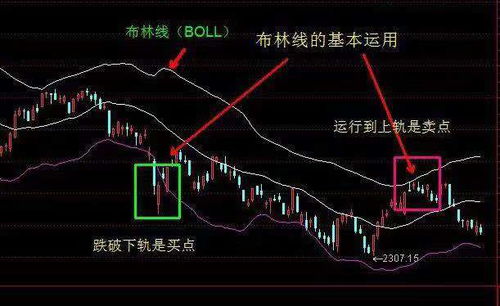 如何理解并应用Boll M源码？