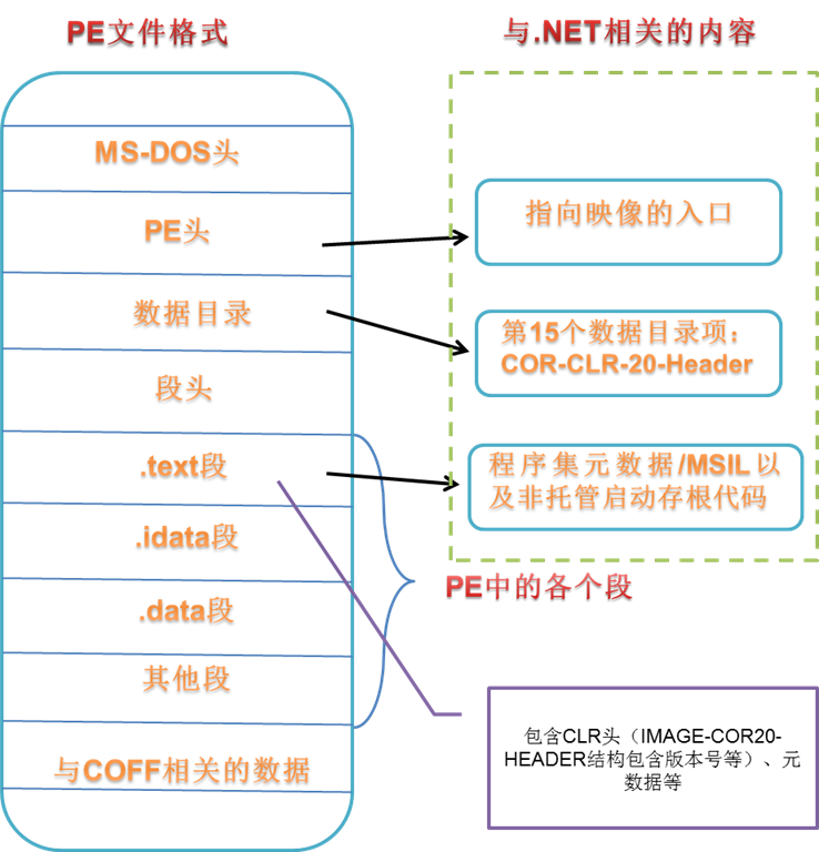 在.NET中进行数据库读写操作时，主要依赖哪些核心类库？