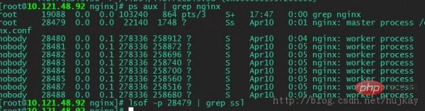 如何调整Nginx服务器以应对OpenSSL安全破绽？  第1张