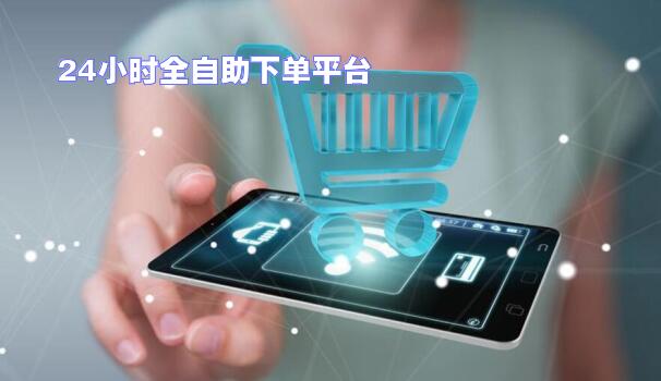 哪些软件提供24小时自助下单服务并承诺全网最低价？  第1张