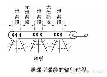 什么是漏扫？详解其定义与影响！