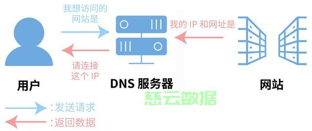 如何正确将DNS服务器地址设置为自动？  第1张