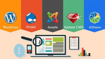 Java CMS源码，如何实现高效的内容管理?