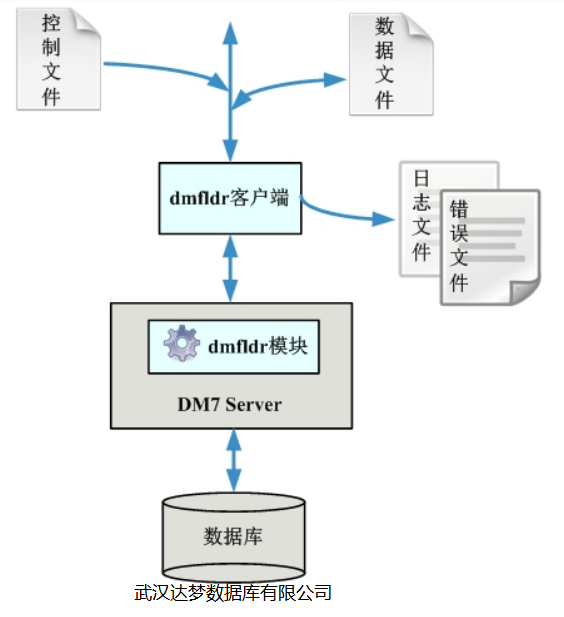 如何在Android中将数据库文件的数据写入到data目录下的文件中？