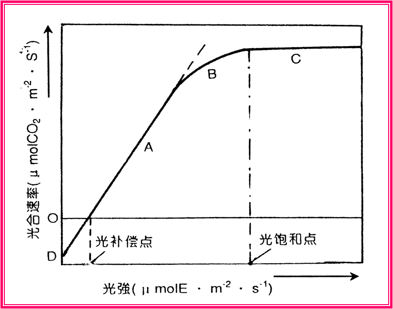 光照增强原理图像  第1张
