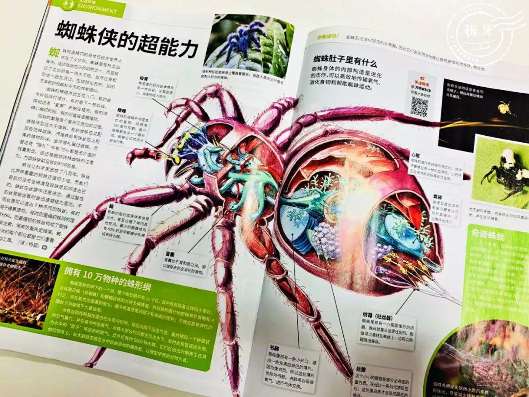光年蜘蛛日志分析  第1张