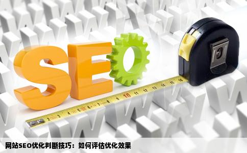 如何评估您的网站SEO效果，实用检测方法指南  第1张