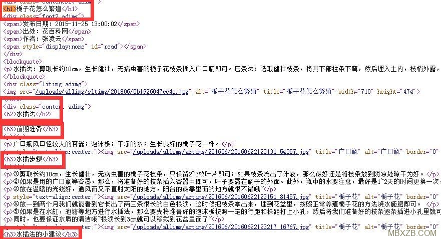 如何进行小说网站的SEO分析诊断？