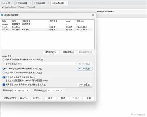 虚拟主机上传文件的具体步骤和注意事项有哪些？