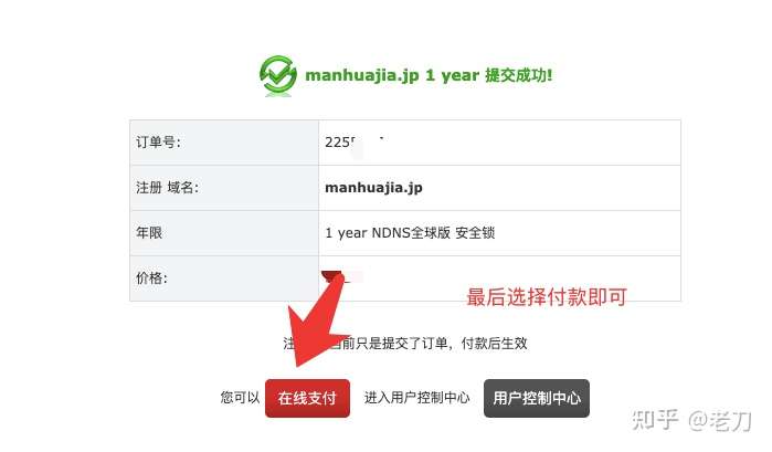 为何在域名注册过程中会出现支付无法完成的情况？
