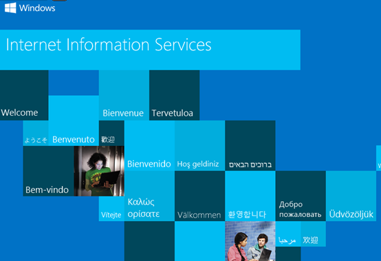 如何在Windows 8.1上成功安装并配置IIS 8.5与PHP 5.5.4以搭建高效运行环境？