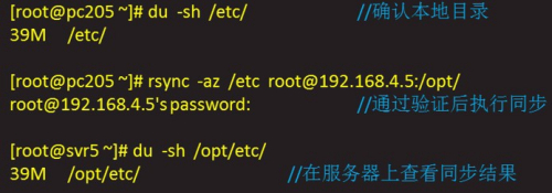 如何仅使用rsync同步特定目录？