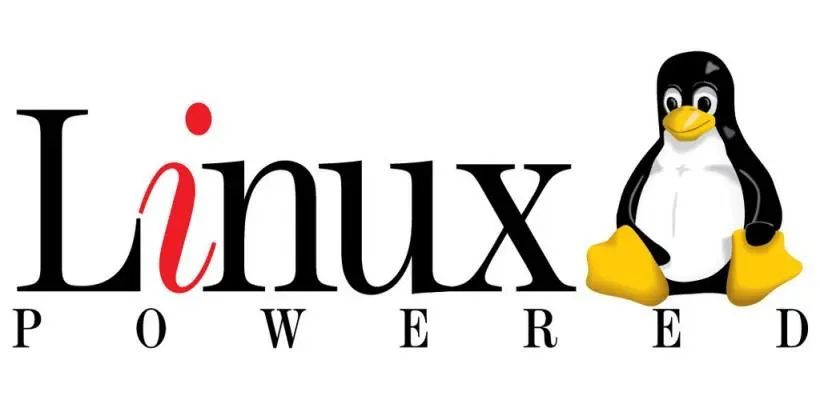 如何正确使用Linux中的mkdir命令来创建目录？