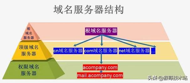 为何购买域名需要支付费用，其背后有何经济原理？