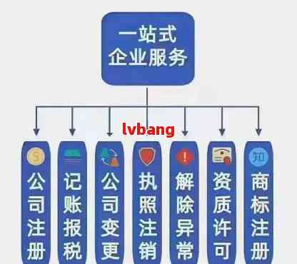 为何域名注册与备案需分开服务商处理，两者之间有何关联与区别？