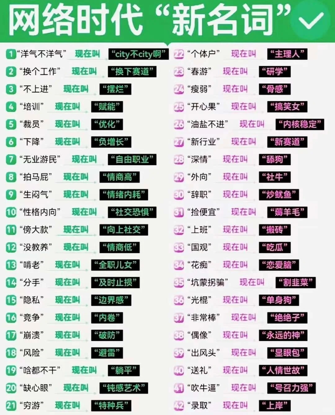 什么是网络语中的‘主页’？如何解析其含义？