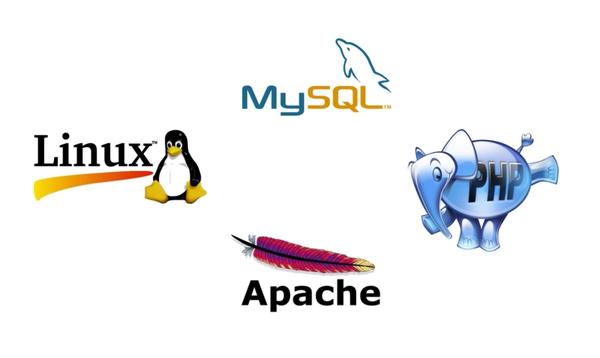 如何在Linux环境下实现Apache、php3和MySQL的完美整合？