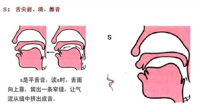 Who和Who is的正确发音分别是什么？