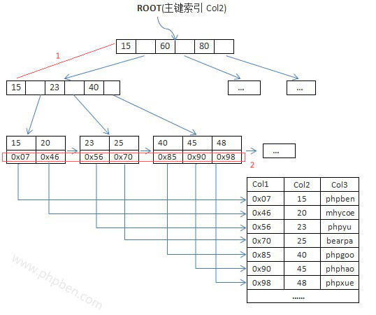 MySQL数据目录的结构是怎样的？