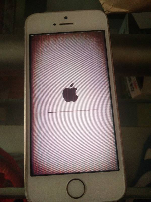 苹果iPhone 5s花屏怎么办？解决方法大揭秘！