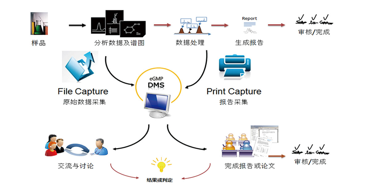 如何优化DMS系统数据库以提升数据管理效率？