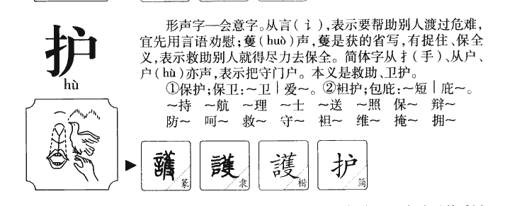 护的笔顺怎么写？保护的‘who’又该如何书写？