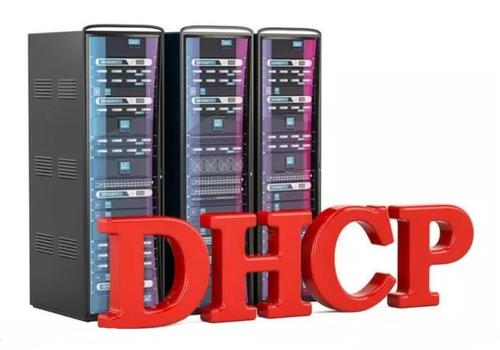 dhcp服务器 红色  第1张