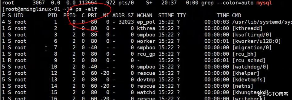 如何有效使用Linux时延命令来监控和优化系统性能？