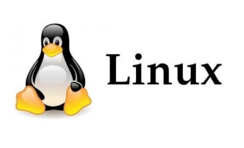 在CG行业中，为什么Linux操作系统成为首选平台？