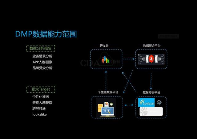 DMP数据库究竟是什么？揭秘其核心功能与应用场景