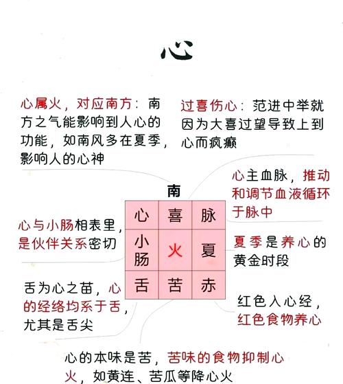 心主什么  第1张