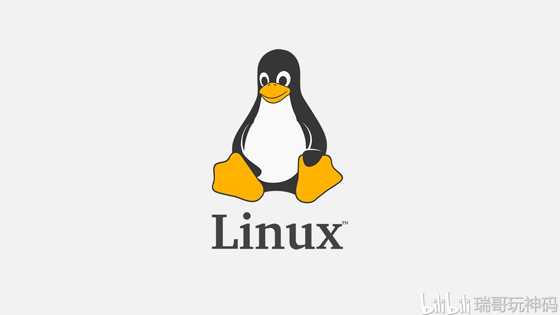 哪些知名企业选择Linux作为他们的操作系统？