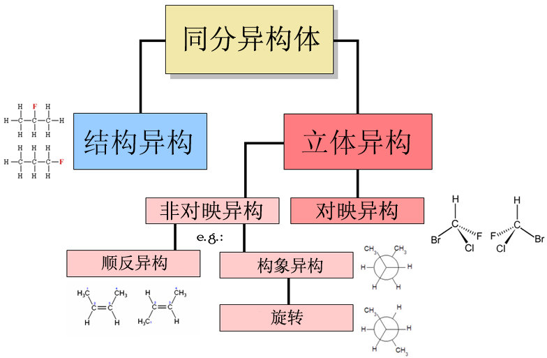 向是什么结构  第1张