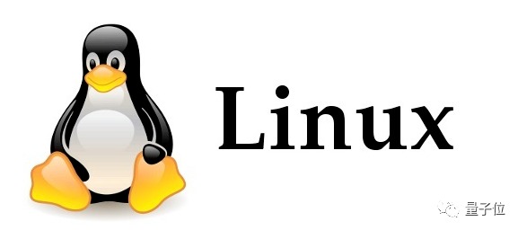 Linux内核C11: 如何有效利用这一特性来提升系统性能？