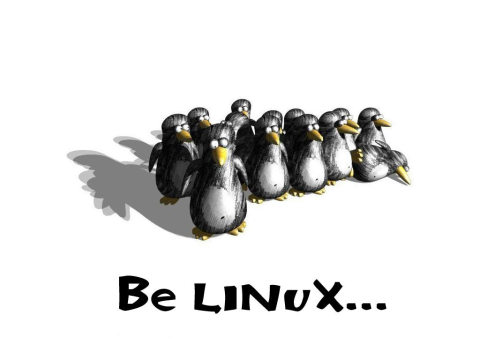 cd在Linux中究竟意味着什么？  第1张