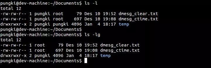 Linux命令lsi，它是什么，以及如何使用它？