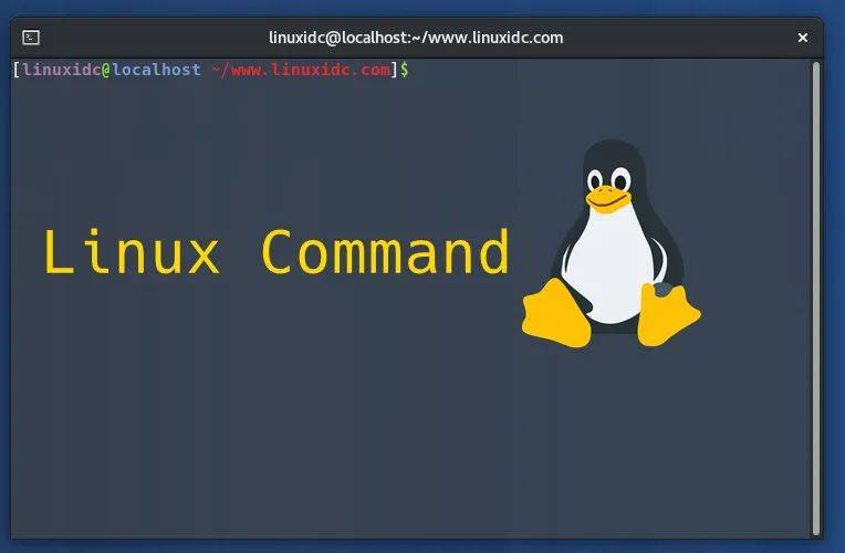 Linux社区维护专员的职责和影响是什么？