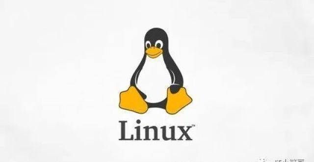 如何撰写一封专业的Linux实训致谢信？