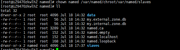 dns linux bind  第1张