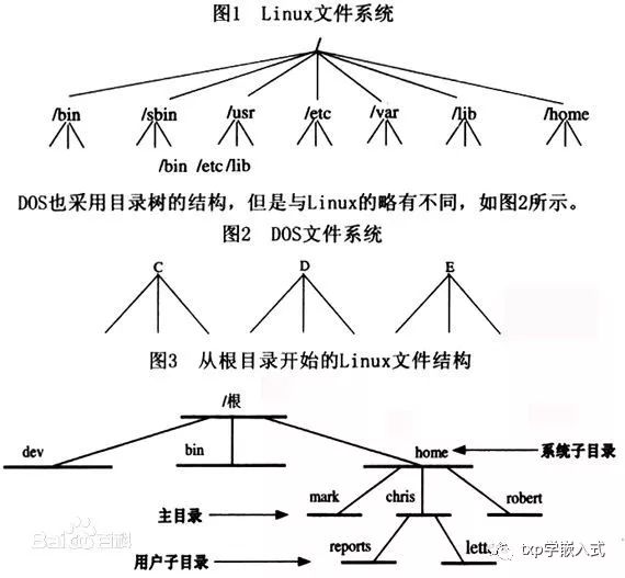 如何高效管理Linux系统中的网络文件系统？
