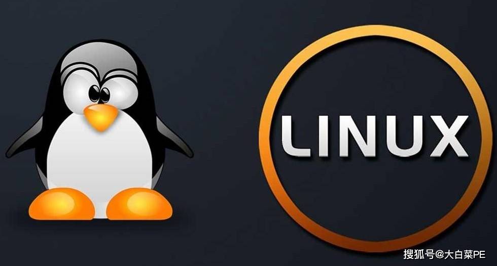 奔放Linux，一个安全且高效的选择还是风险过高的做法？  第1张