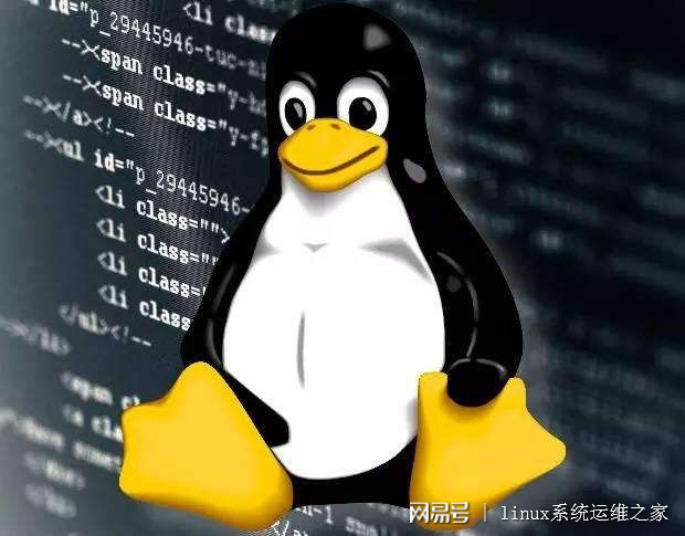 老师为何鼓励学生学习Linux操作系统？