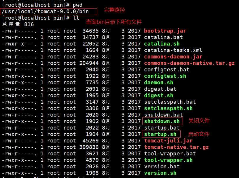 如何用Linux脚本实现高效下载文件？  第1张