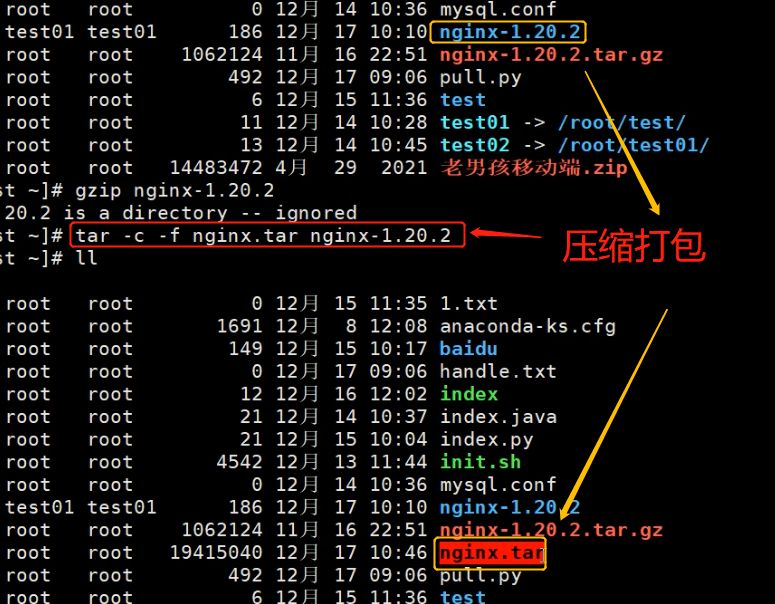 如何在Linux系统中复制压缩包？