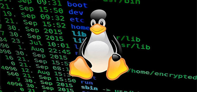 如何实现Linux系统的一键备份？